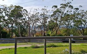 Set Amongst The Treetops Of Arthurs Seat